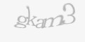 Güvenlik kodu