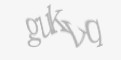 Güvenlik kodu