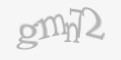 Güvenlik kodu