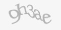 Güvenlik kodu