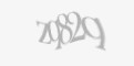 Güvenlik kodu