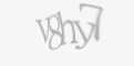 Güvenlik kodu