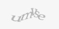 Güvenlik kodu